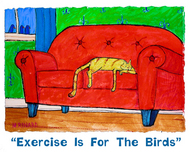 Matt Rinard Matt Rinard Exercise Is For The Birds